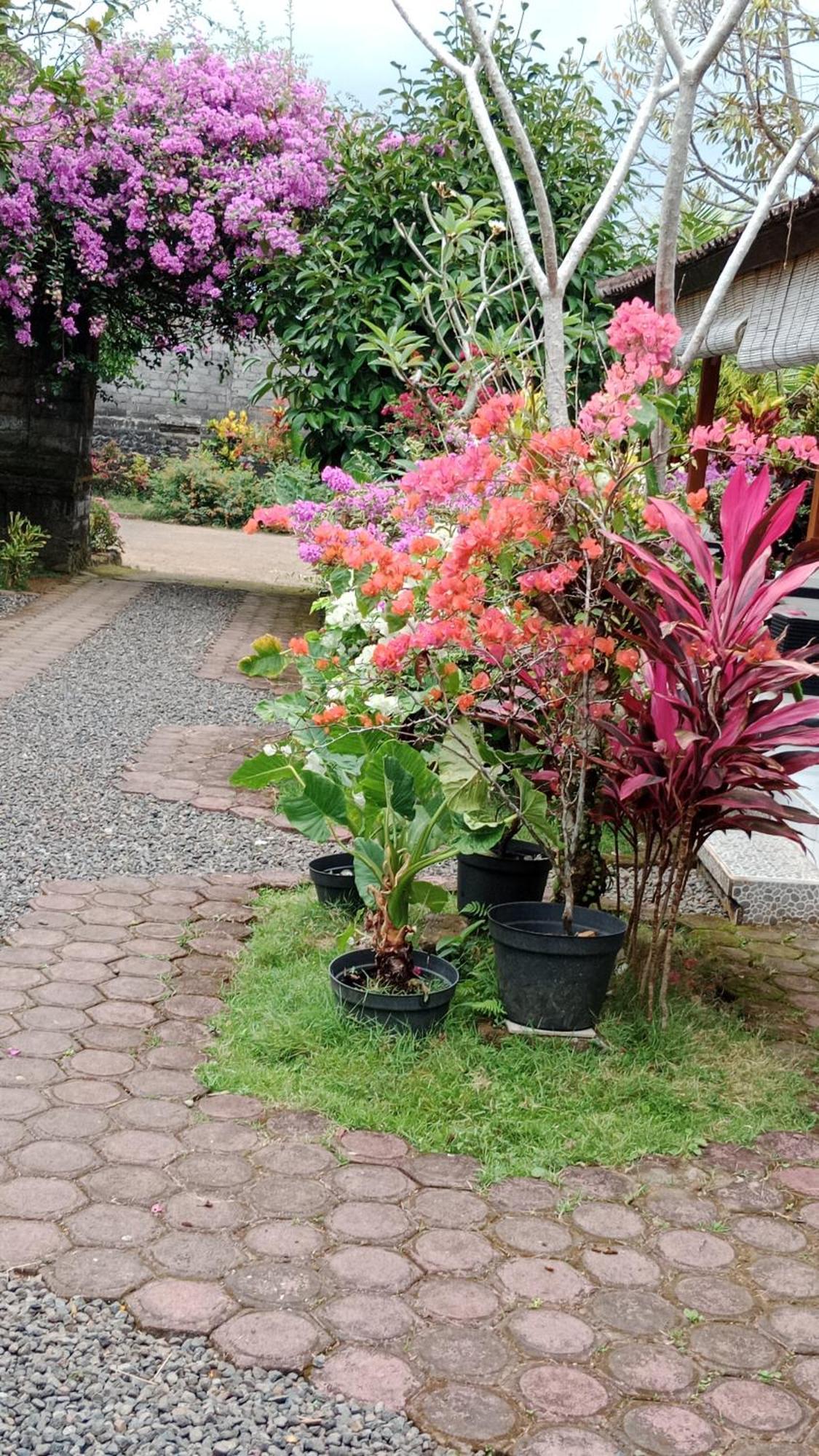 House Market 希德门 客房 照片